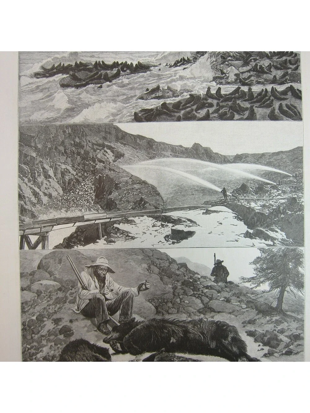 Antique 1888 Print 